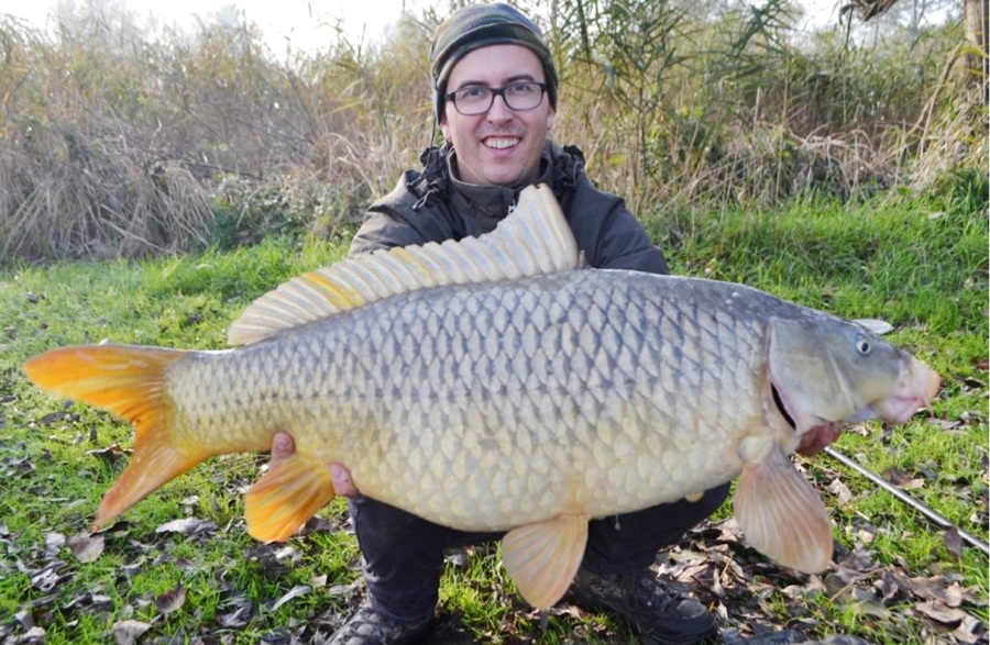 Carpa del fiume po