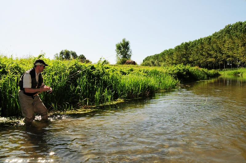 Pescare cavedani fondovalle pesca al cavedano a spinning