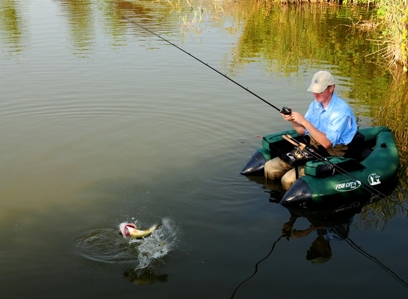 Pescare il blackbass