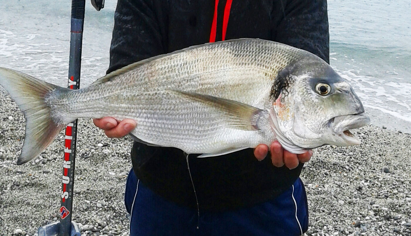 Surfcasting invernale dalle spiagge profonde