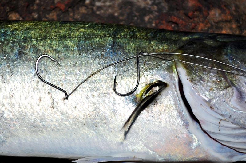 Terminali da pesca a surfcasting