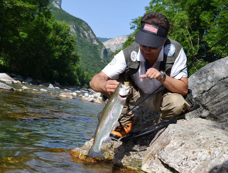 spinning trote torrente