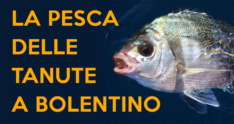 pesca tanuta a bolentino