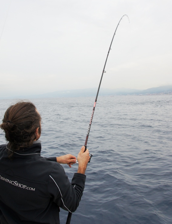 Canna da pesca per lo spinning in mare in azione. Un bel pesce ha abboccato all'esca artificiale