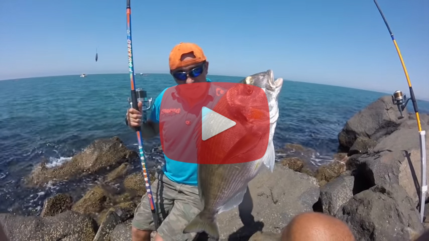 video-pesca-orata-granchio